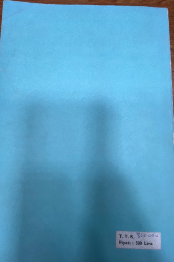 Türkiye Devletinin Dış Siyasası