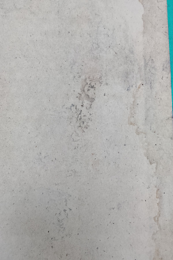 İngiliz gezginlerine göre XVl. Yüzyılda İstanbulda Hayat