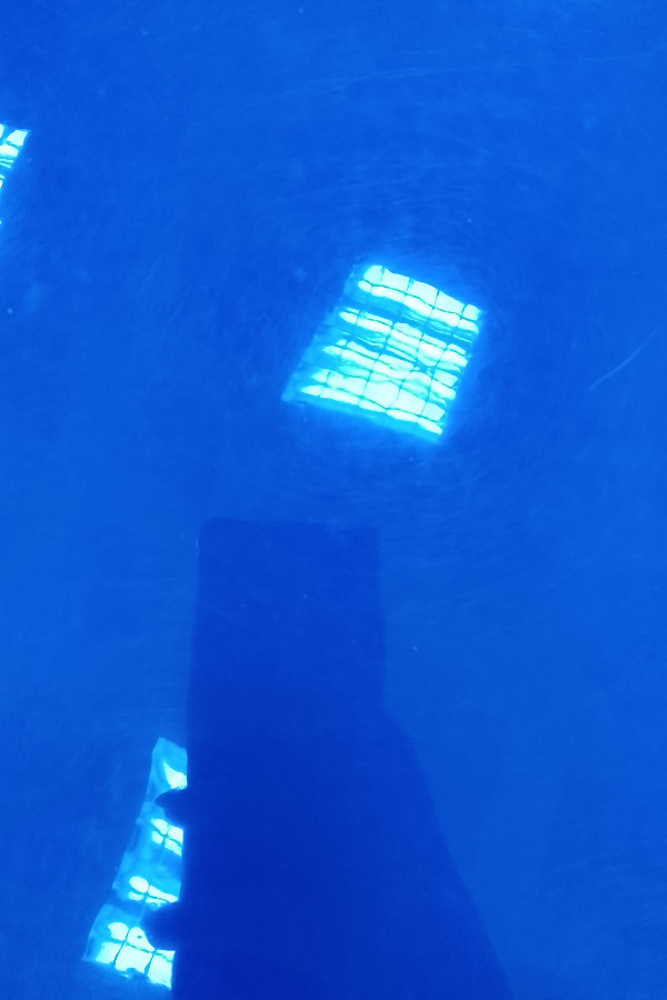 selçuki Devletleri Tarihi