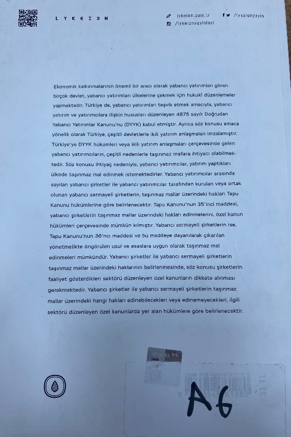 Türk hukukunda yabancı yatırımcı olarak şirketlerin taşınmaz mal edinmeleri