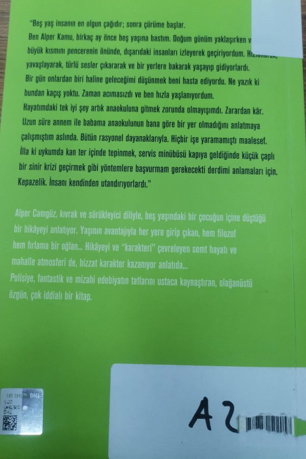 Oğullar ve rencide ruhlar