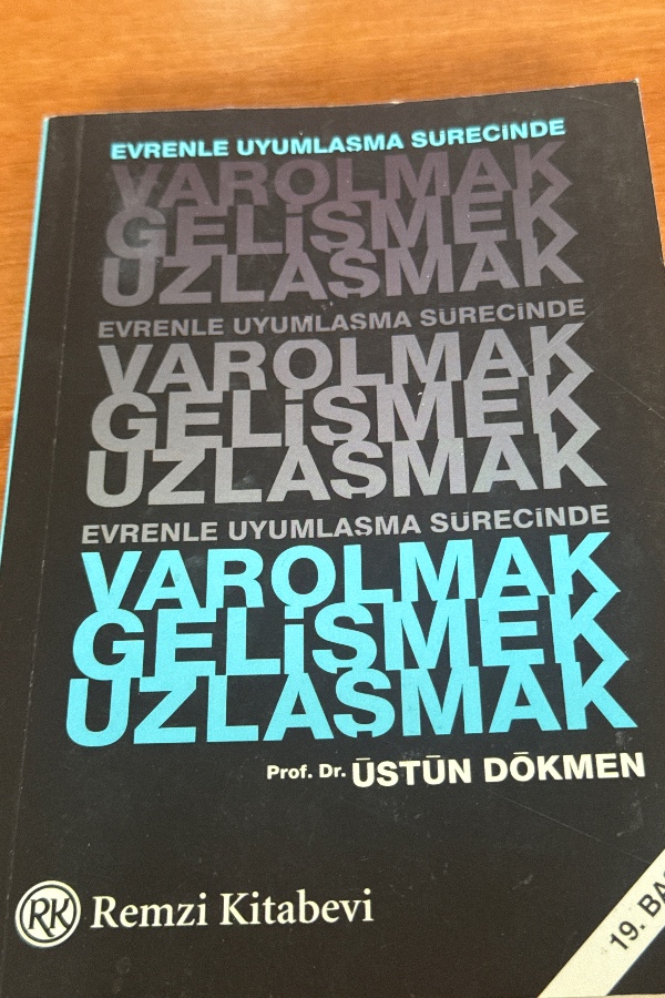 EVRENLE UYUMLAMA SÜRECİNDE VAROLMAK GELİŞMEK UZLAŞMAK