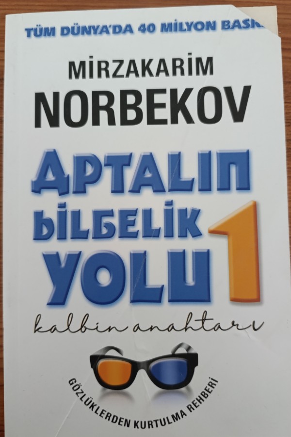 Aptalın Bilgelik Yolu 1