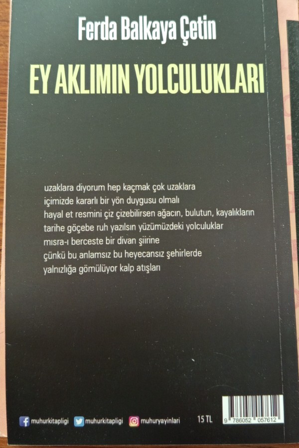 Ey aklımın yolculukları