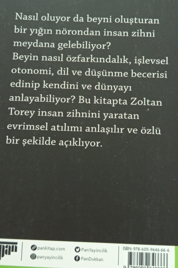 Bilinçli zihin