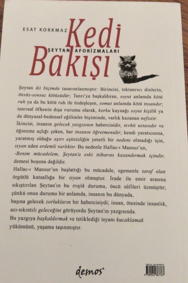Kedi bakışı
