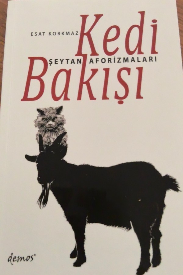 Kedi bakışı