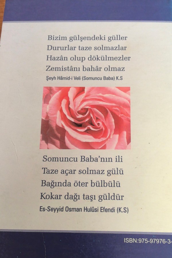 gülşenin solmayan gülü