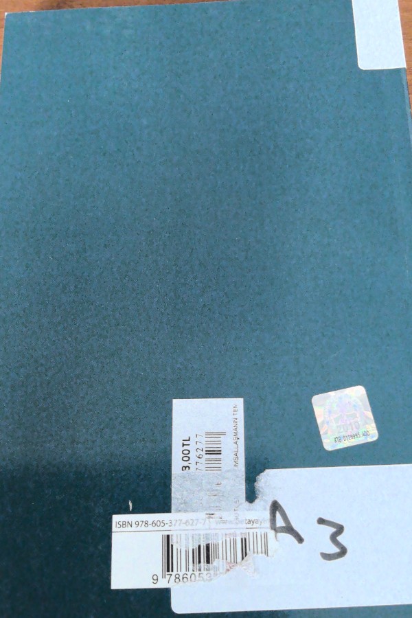 Örgutlerde kurumsallaşmasını temelleri