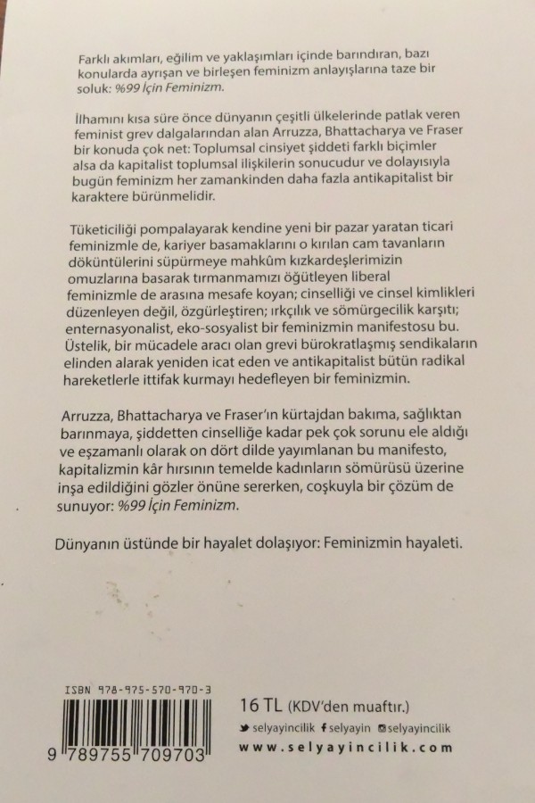 Feminizm: bir manifesto
