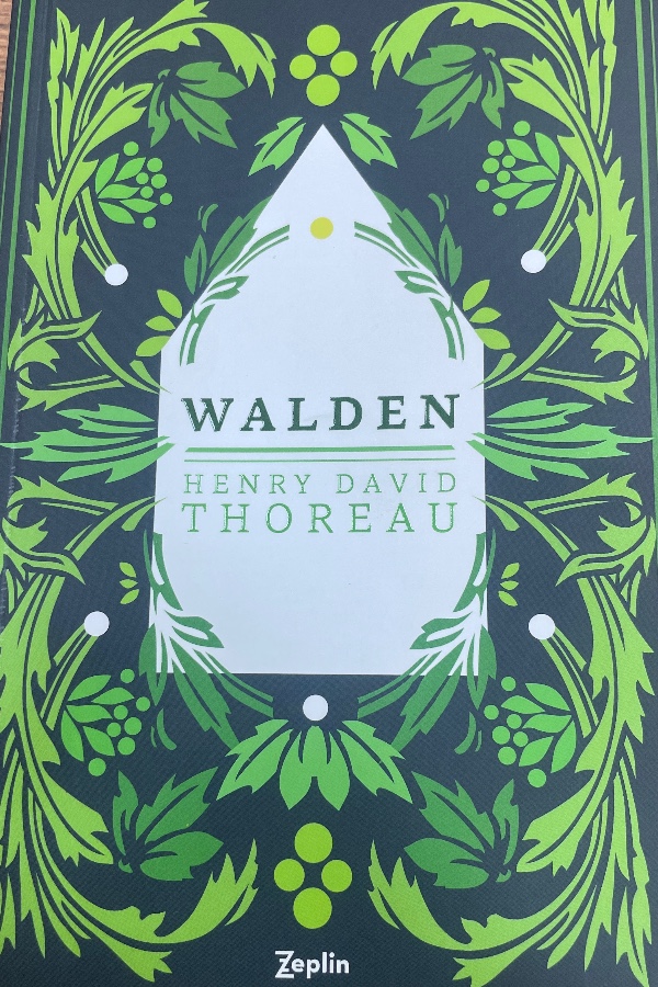 Walden Ormanda Yaşam