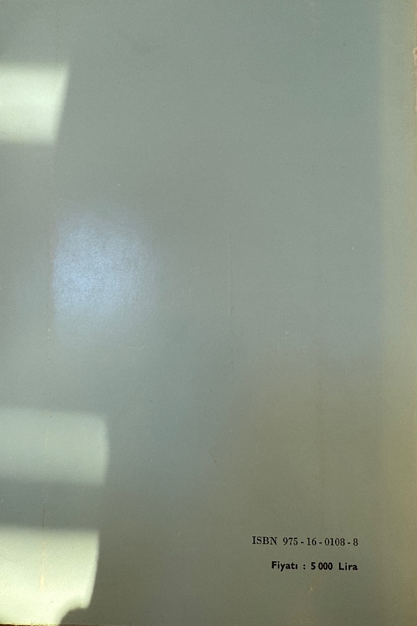 Timurlular zamanında hindistan türk imparatorluğu