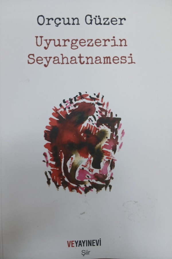 Uyurgezerin seyahatnamesi