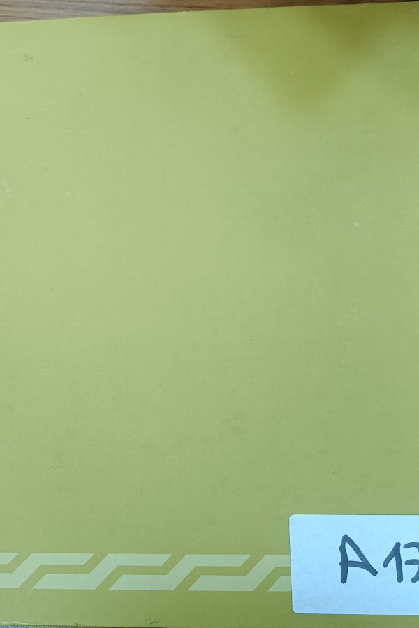 II. Abdullahamid'in yıldız albümlerinde Erzurum