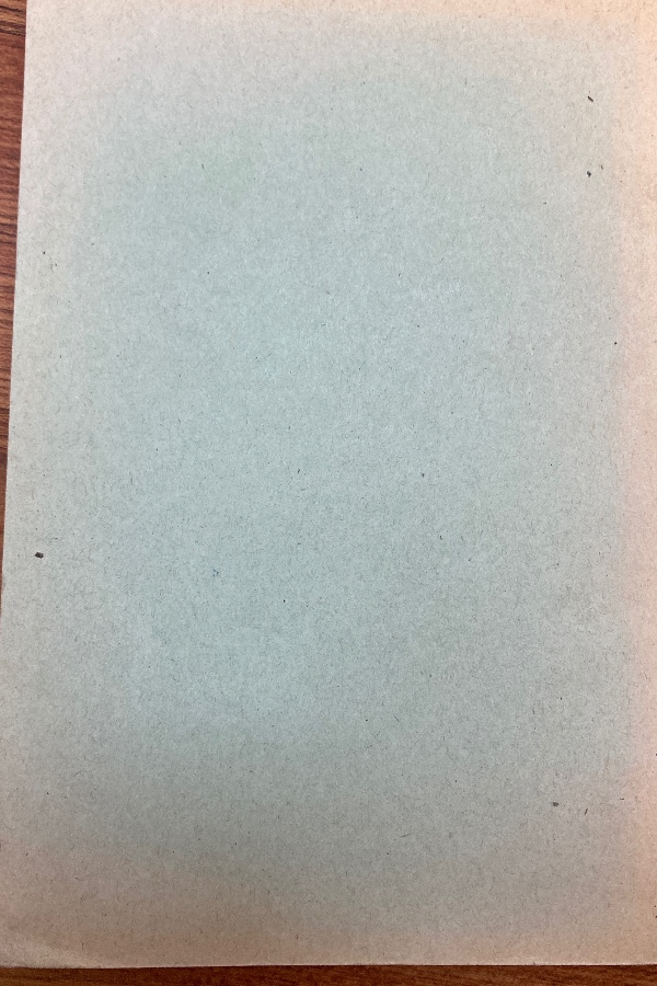 Divançe-i Süleyman nazif