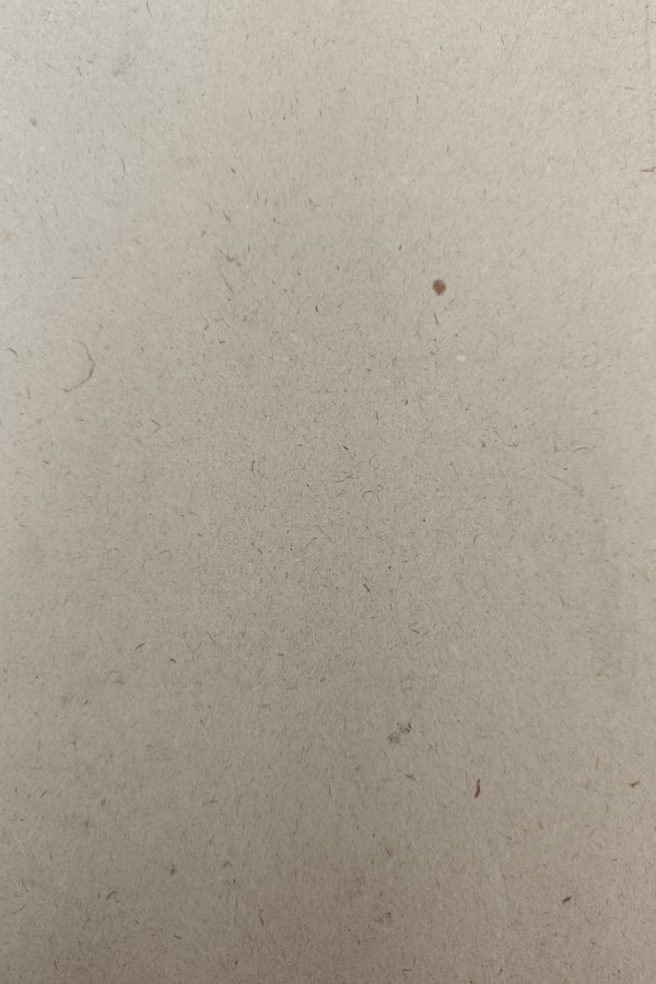 Türkiye Günlüğü