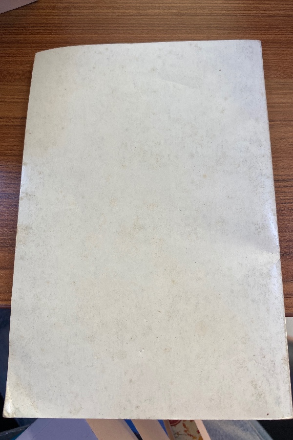 Yirmi altı adam ve bir kız