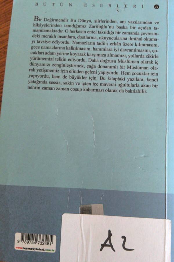 Bir Değirmendir Dünya