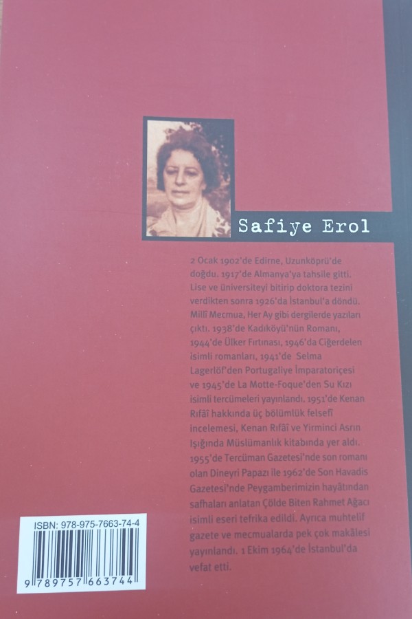 Kadıköy'ün Romanı