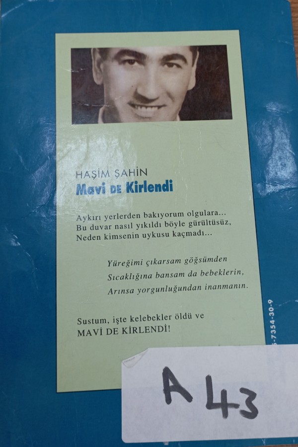 Mavi De Kirlendi