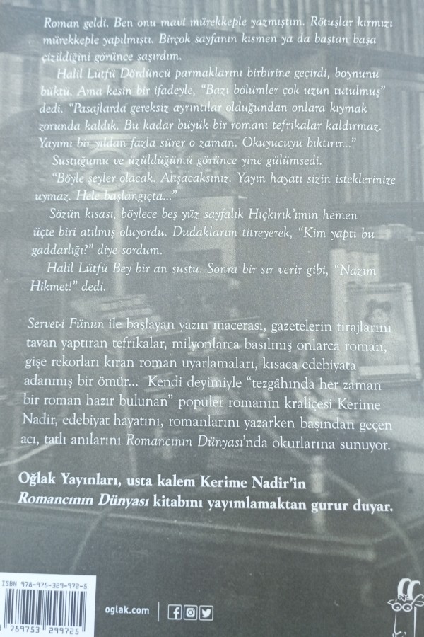 Romancının Dünyası