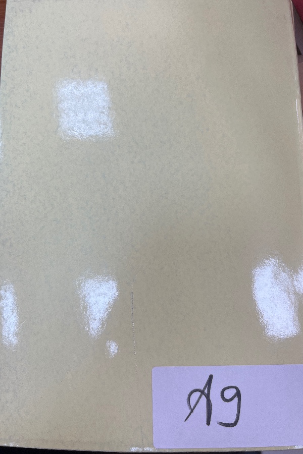 Cumhuriyet Öncesinde Türk Kadını