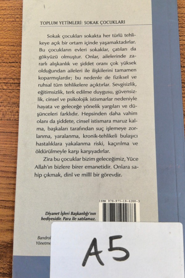 Toplum Yetimleri:Sokak Çocukları