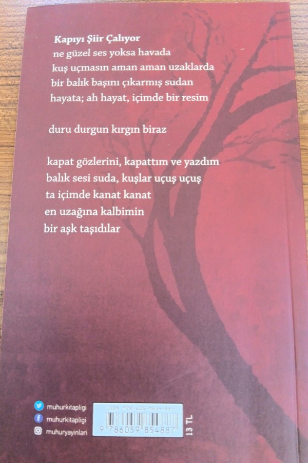 Hüzün Fotografları