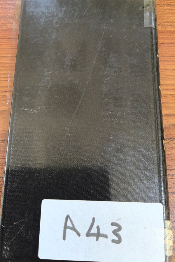 Zaman Ağaçlarla Büyük