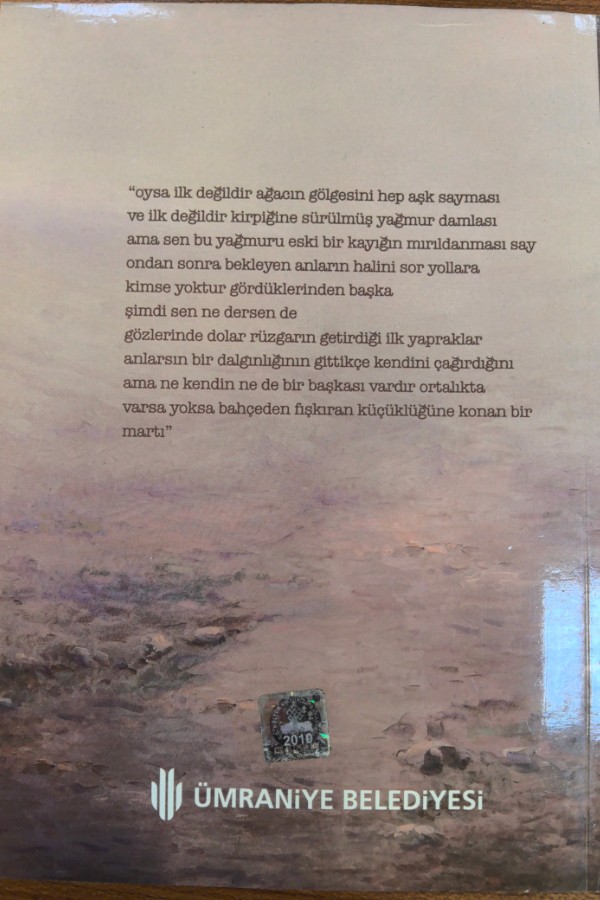 Şimdi Ben Ne Dersem Diyeyim Bir Yol