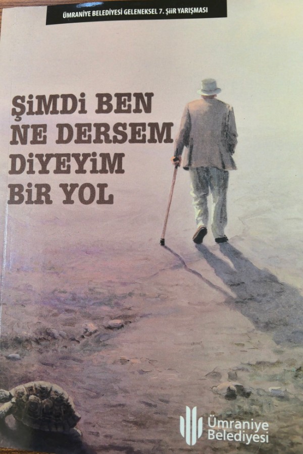 Şimdi Ben Ne Dersem Diyeyim Bir Yol