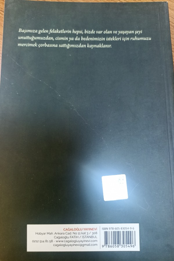 Tolstoy un risaleleri 2