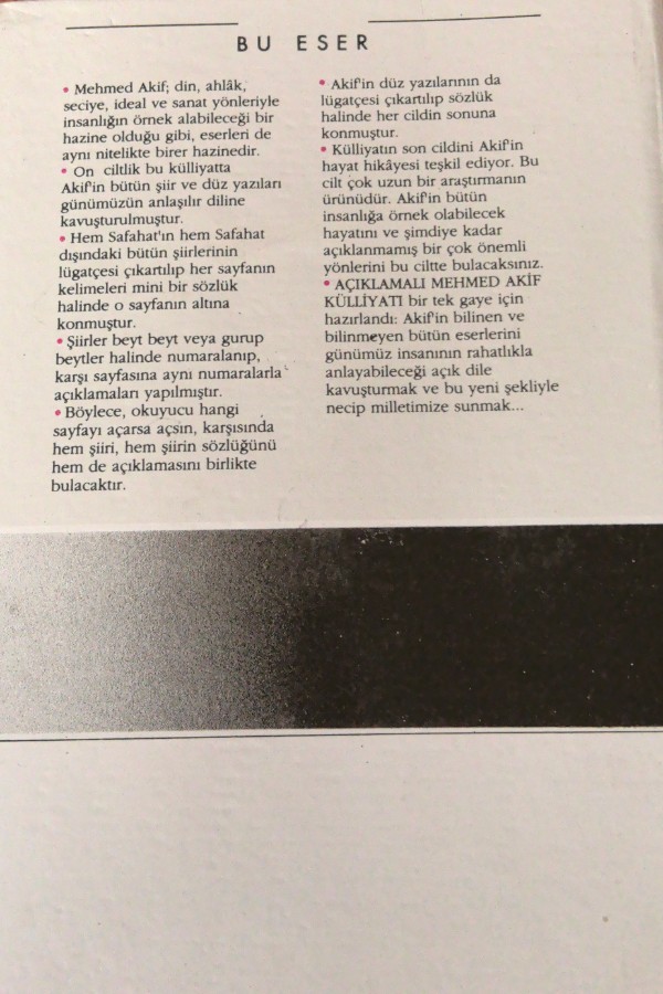 Mehmet Akif Külliyatı 2