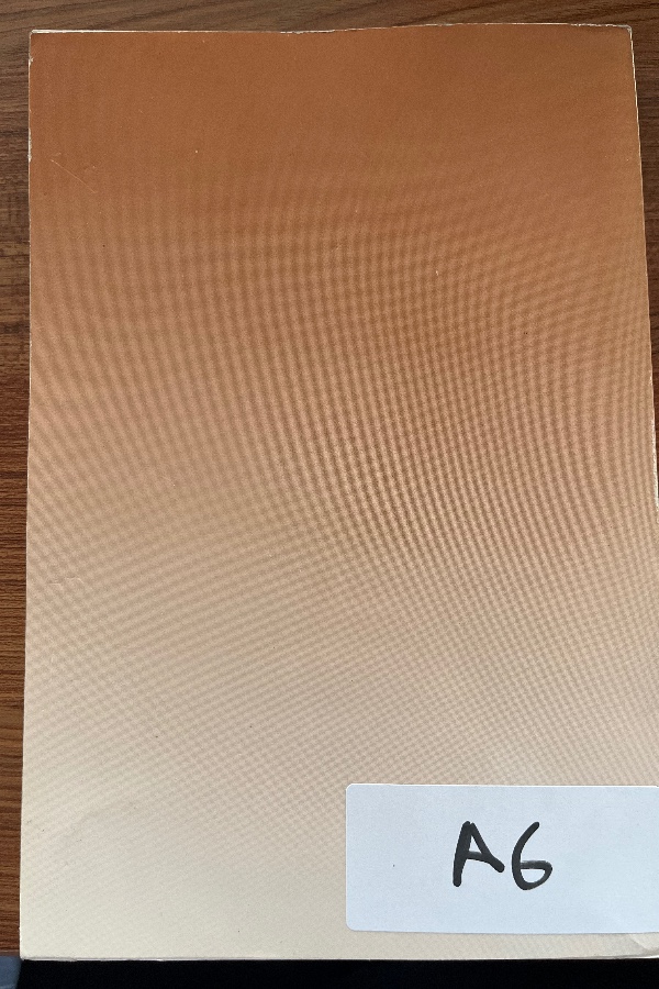 Türk Romanında Aile Kurumu